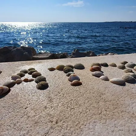 Sunny * Zaton (Zadar)