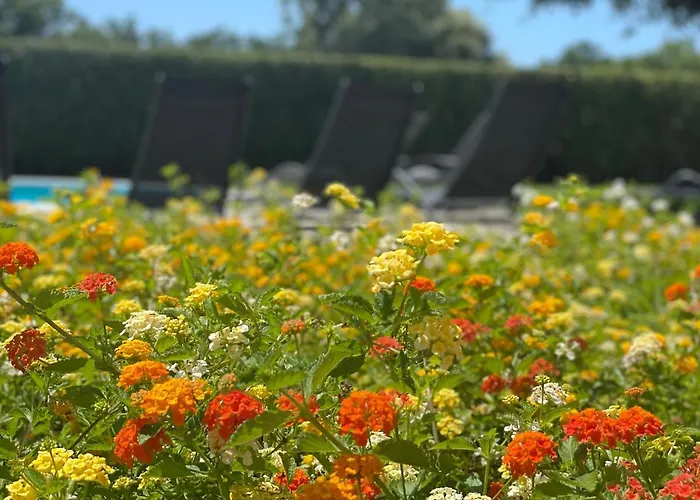 Διαμέρισμα Sunny